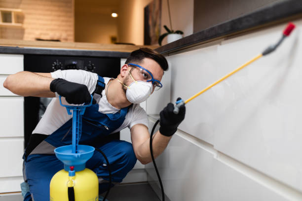 Wasp Removal Services in Middle Valley, TN