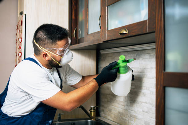 Best Local Pest Control Services  in Middle Valley, TN