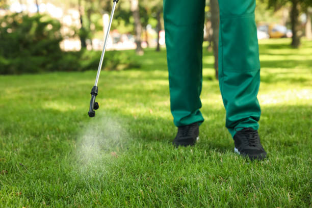 Professional Pest Control in Middle Valley, TN