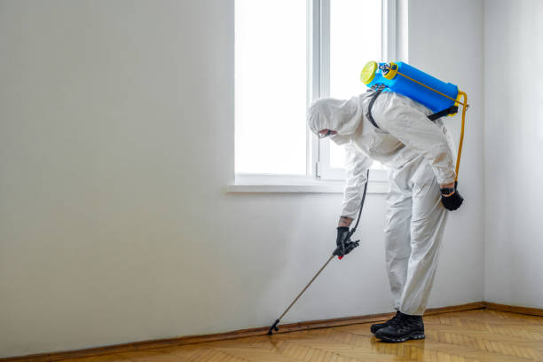 Best Affordable Pest Control Services  in Middle Valley, TN