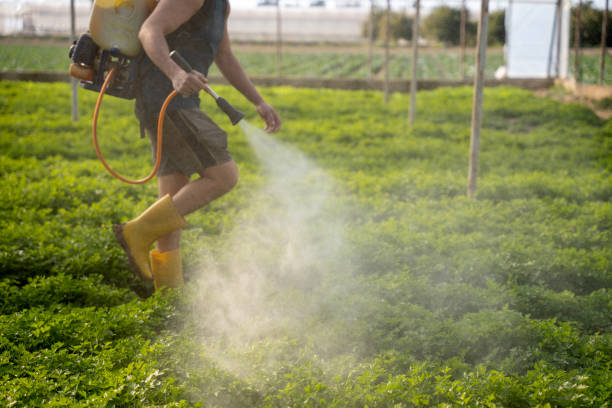 Best Insect Control  in Middle Valley, TN