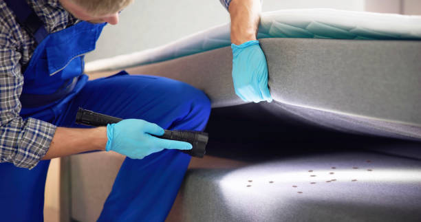 Best Cockroach Control Services  in Middle Valley, TN